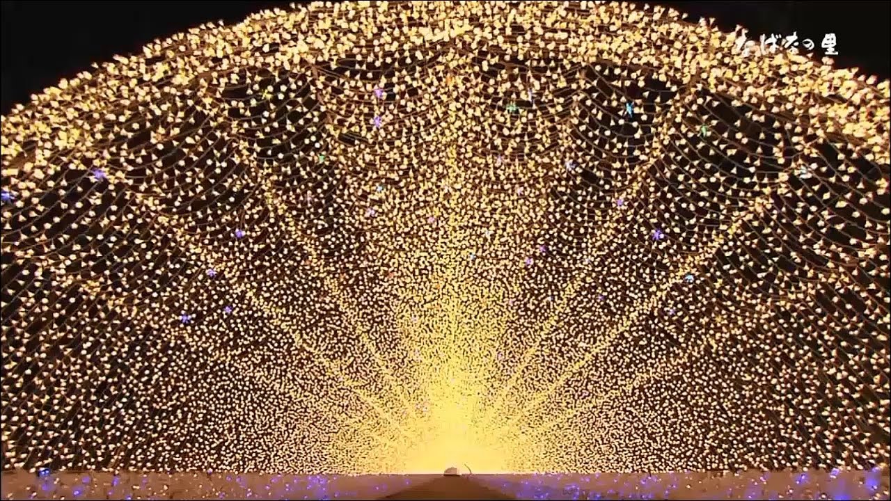 📍なばなの里 なばなの里 イルミネーション 冬デート カップル クリスマス TikTok教室 三重旅行 三重 愛知 おすすめTikTok