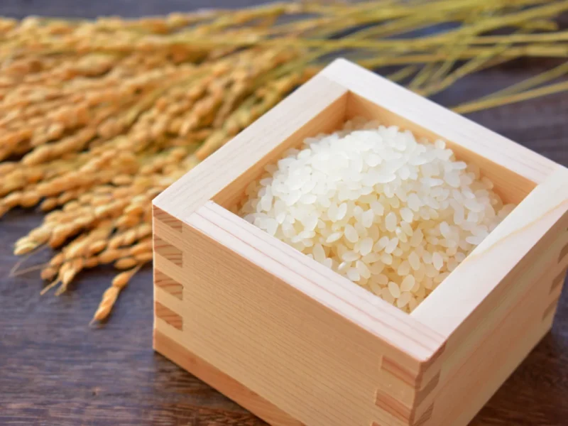 2025-2026年 開運日&吉日カレンダー「一粒万倍日・天赦日・寅の日・巳の日・大安」池田工芸WEB本店