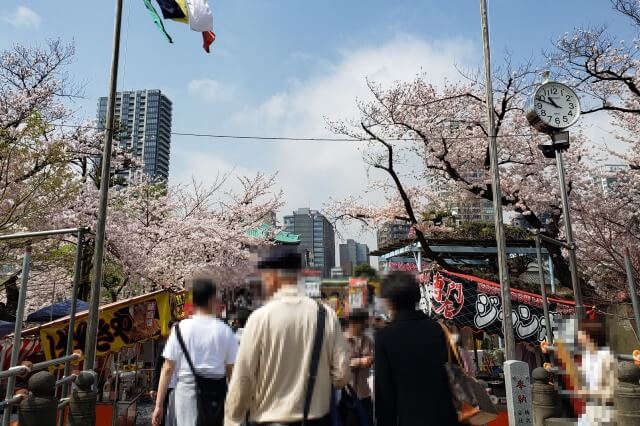 上野公園桜屋台, 日本の桜、屋台、しっかり噛み締めました。日本的櫻花、攤販吃飯、一年只有一週的美麗、享受&過癮