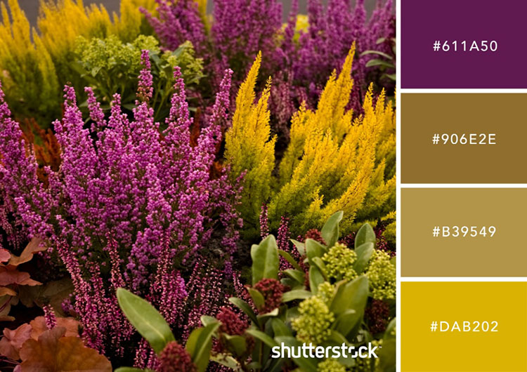 バレンタインカラーイラスト無料イラスト・フリー素材なら「イラストAC」