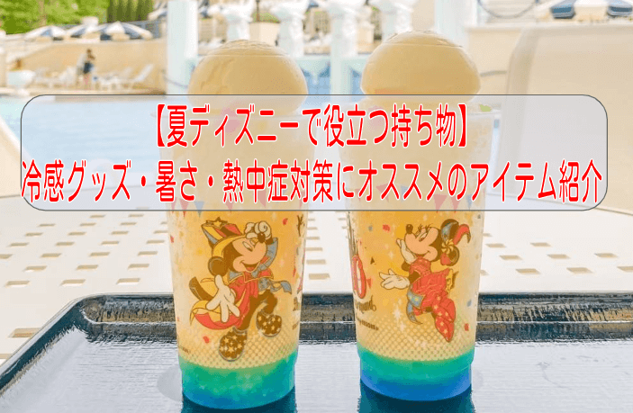 2022 夏のディズニー！本当に役立った持ち物 ベスト７HATCH