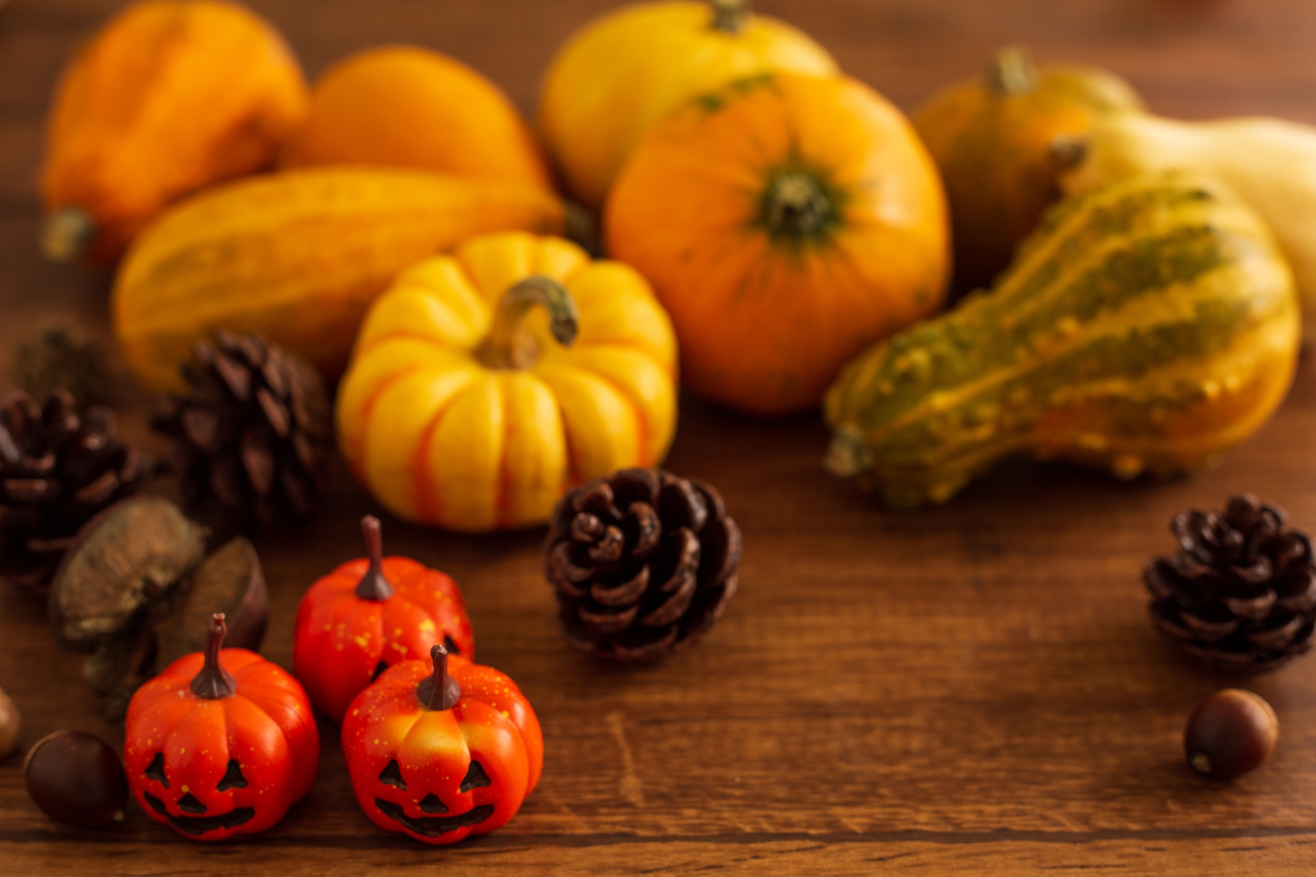 ハロウィンでおなじみのかぼちゃ ジャックオーランタンの種イタリア野菜・西洋野菜と種子通販