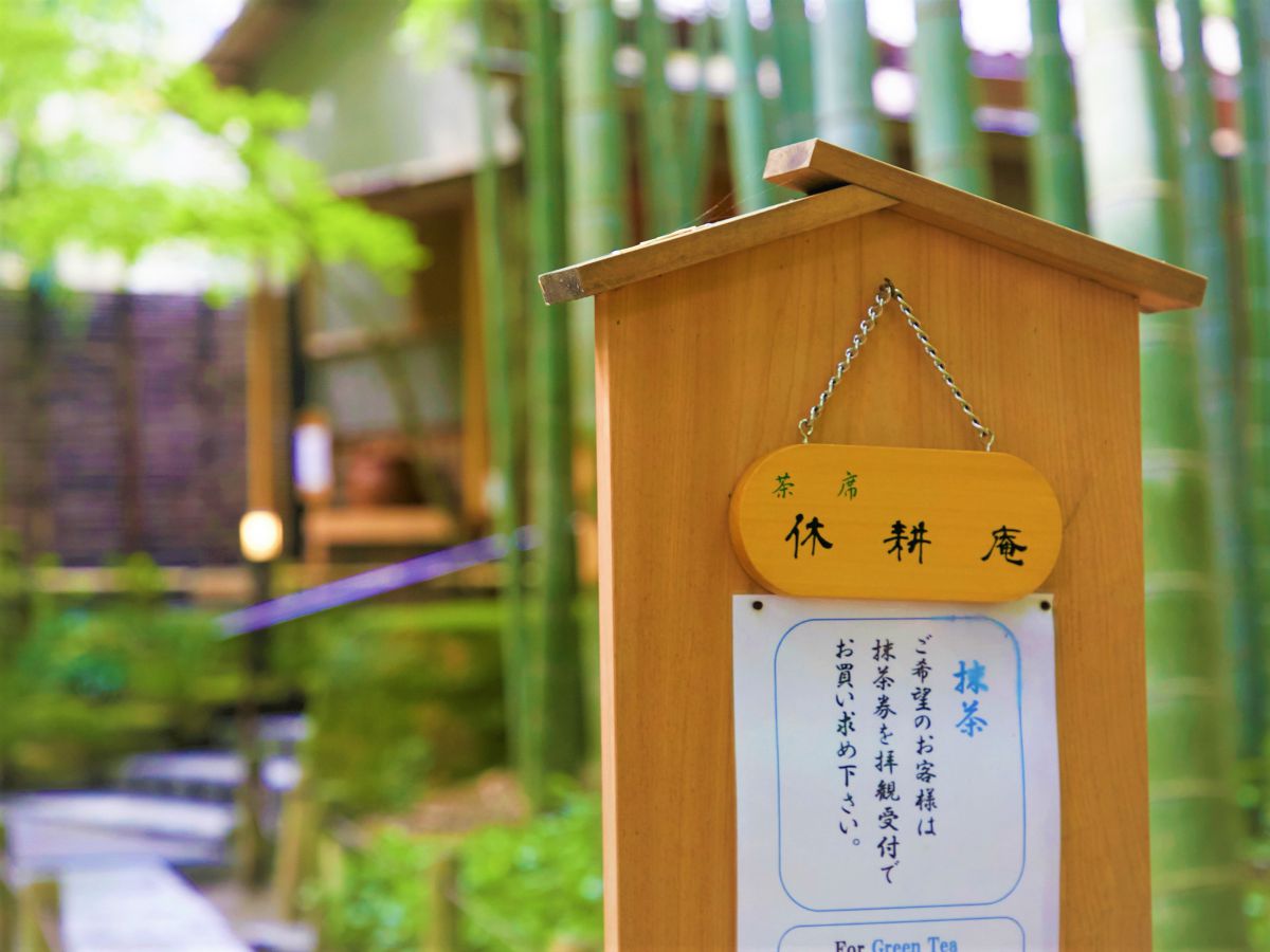 鎌倉で抹茶 桜も美しい！報国寺でお抹茶と三ツ星の竹林を楽しむ。 - 茶活 CHAKATSU