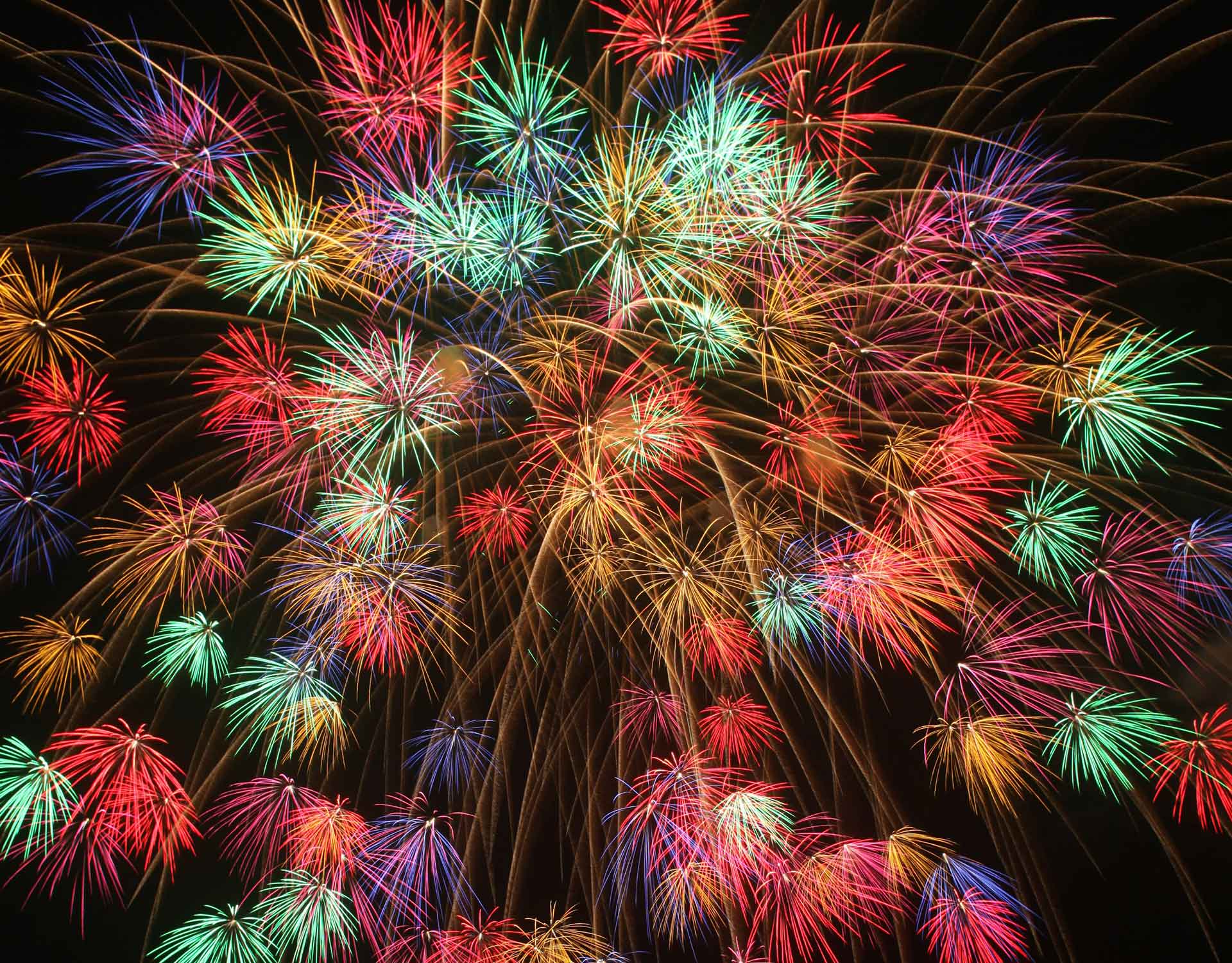 こうのす花火大会 １名様分 2024年9月東京・関東近郊