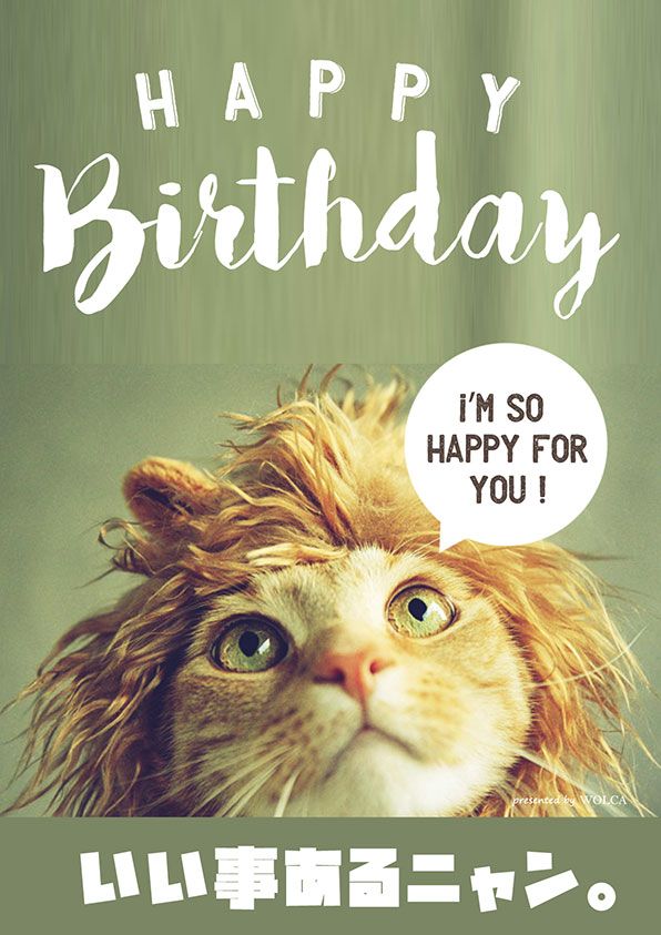 LINEスタンプの新機能『スタンプアレンジ機能』で、履歴利用が可能に！アレンジしやすいスタンプ特集も開始LINEヤフー株式会社のプレスリリース