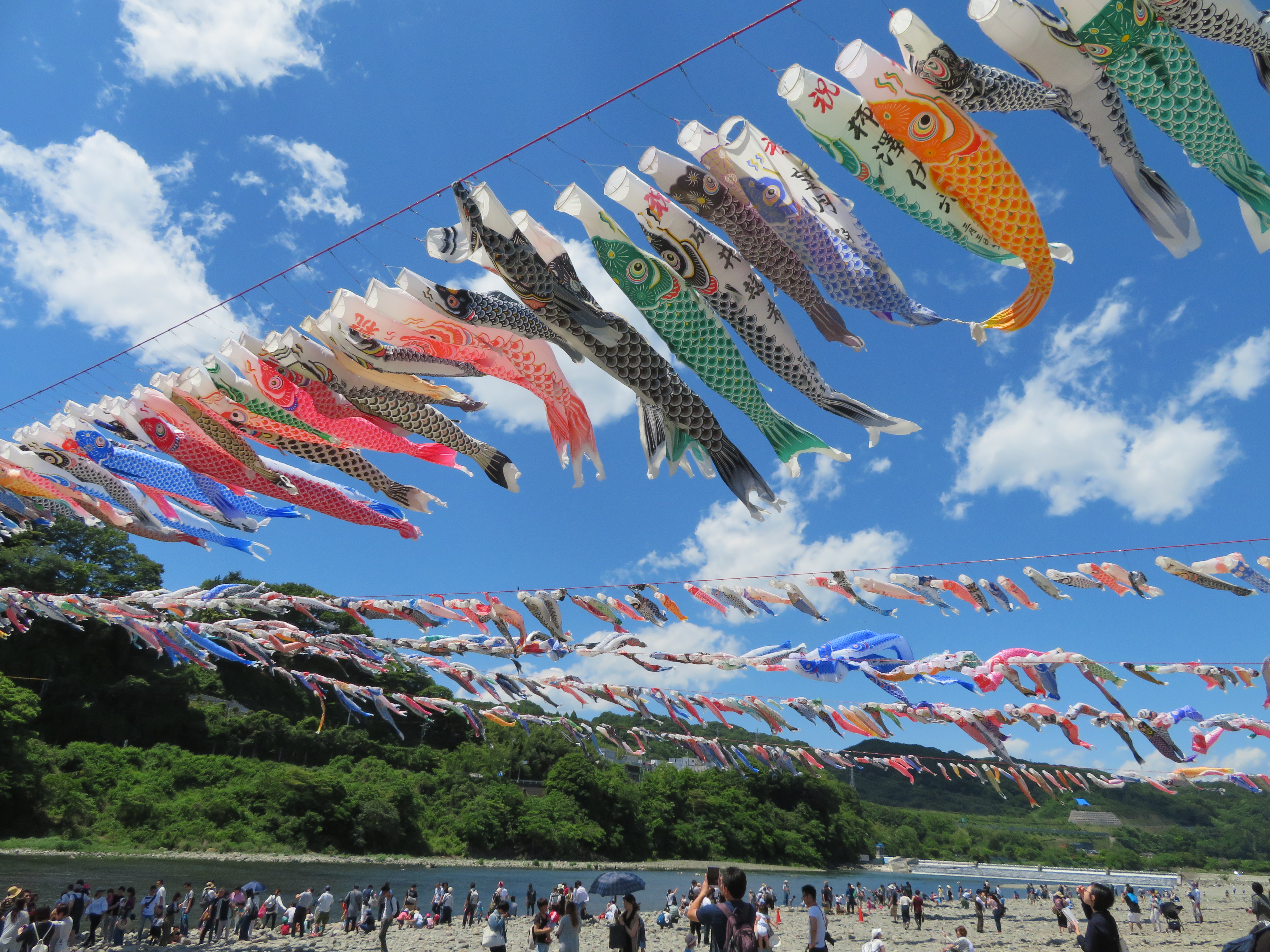 泳げ鯉のぼり相模川 - Wikipedia