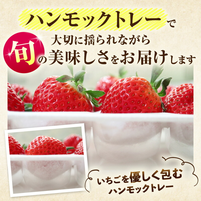 雀魂 一姫 ゆず gift ぬいぐるみ