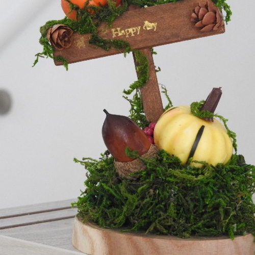 東温市☆ハロウィンの森へ行ってきました♪もこぼっくすLife愛媛県の子育て情報マガジン