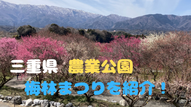 東海の梅の名所・梅林・梅園33選 2025 開花時期や梅まつりもチェックるるぶKids