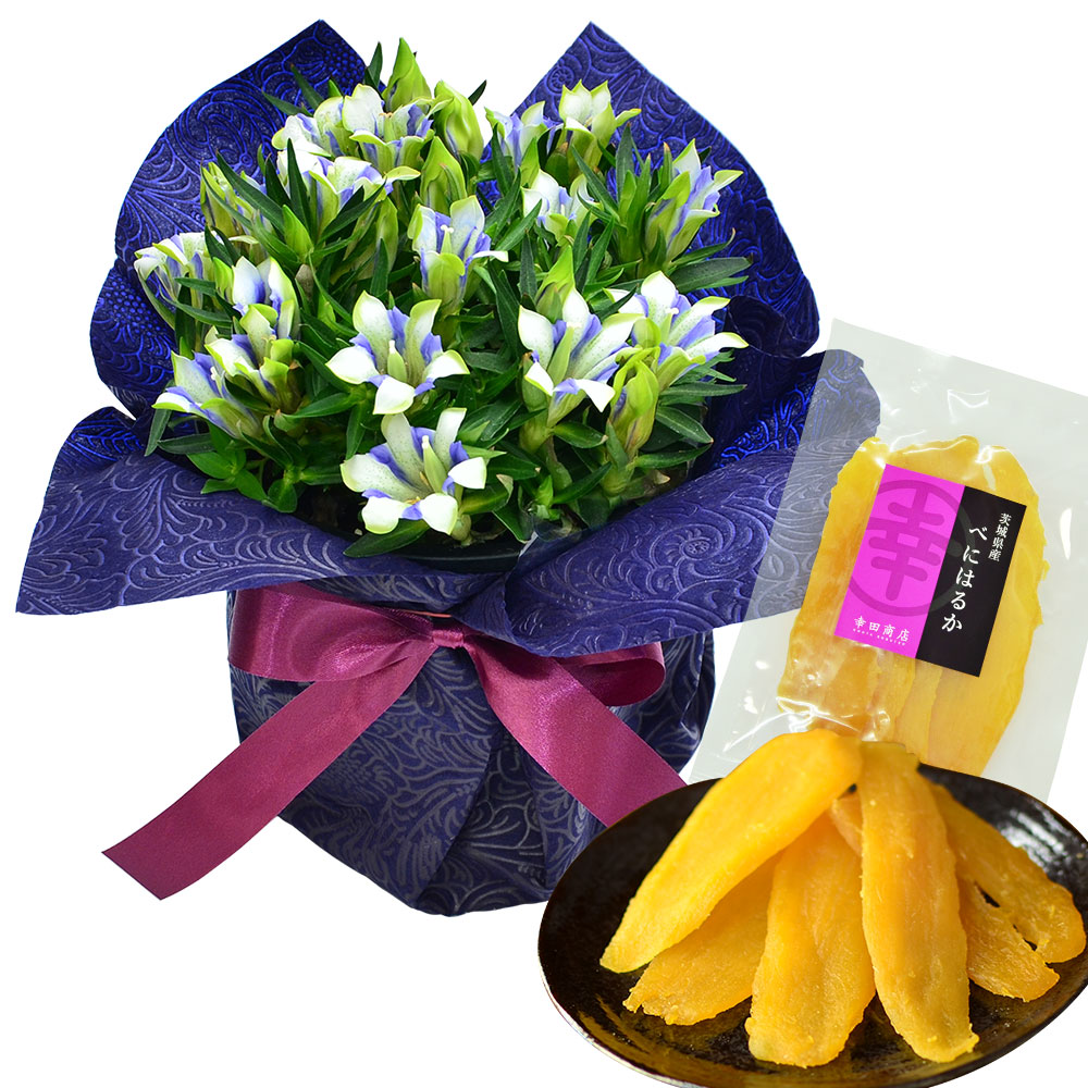 敬老の日のお花 おすすめギフト特集2025年 – 花・花束の通販サイトHanaTaku