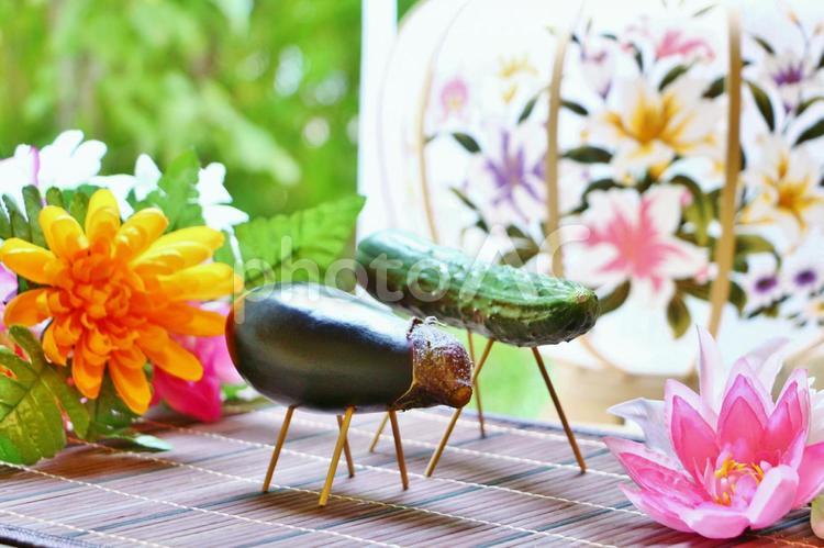 お盆 のイラスト＜無料＞かわいいフリー素材 イラストK