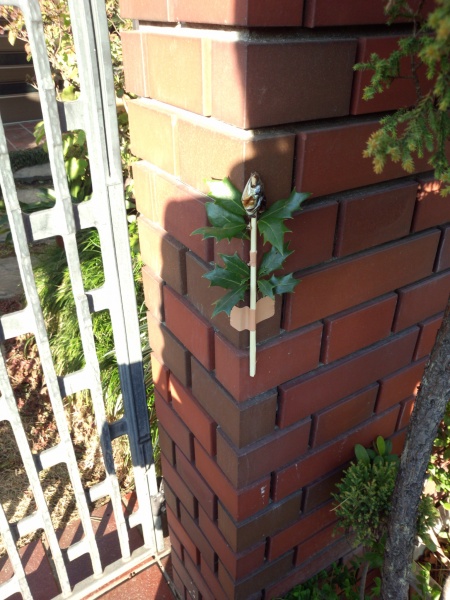 節分って年に4回もあるって知っていますか？豆まきと「柊鰯」の由来LOVEGREEN ラブグリーン