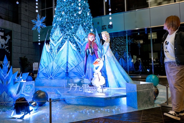 束の間の雪との共演 けやきライトパレードわかやま新報