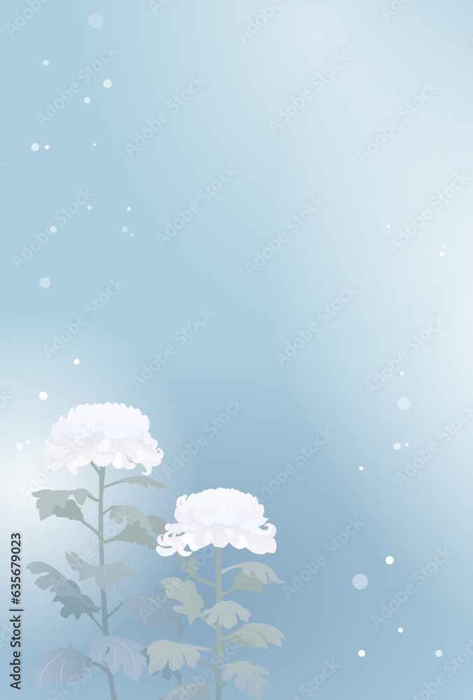 喪中ハガキ 菊と露芝のイラスト素材3102821- PIXTA