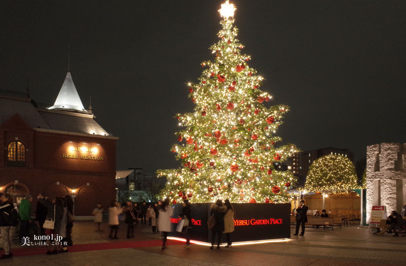 🎄クリスマスクリスマスイルミネーションクリスマスツリー恵比寿ガーデンプレイスバカラ恵比寿ebisu東京tokyoパワースポット福岡カメラ部福岡写真部東京カメラ部東京写真部花が好きな人と繋がりたい写真好きな人と繋がりたい