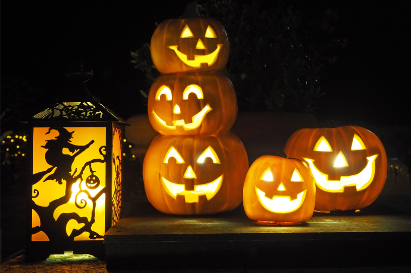 ガーデンがハロウィンの装飾になりました！バラの香りを楽しむ庭 四季の香ローズガーデン 練馬区 へようこそ