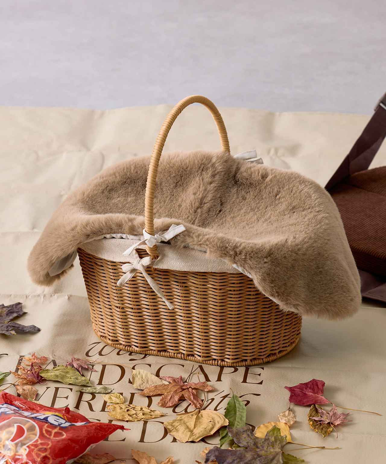 食欲の秋！ 秋ピク でおしゃれに楽しもう🧺🥐 秋の果物やスイーツを 並べると一気に 秋っぽくなるね🍇🤍 落ち葉と写真を撮るのもお洒落〜😳🍂 是非参考にしてみてね👀🍁 R i L i 編 集 部 🫧 Editor-chief @aosimmdr Editor@micomy_02 Writer @‌mi_saki_04