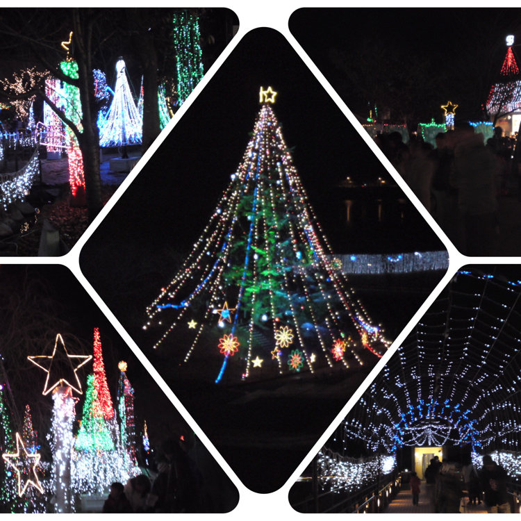 宮ヶ瀬湖クリスマスツリ