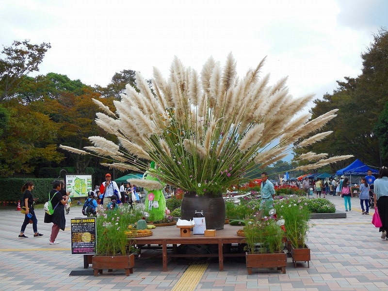 鹿児島イルミナージュ2024イベント公式 鹿児島県観光サイト かごしまの旅