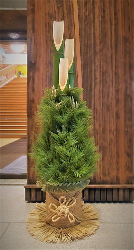 松の木にも雌雄の区別はあるの？ - 平々凡々～ へぃへぃぼんぼん