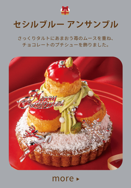 クリスマスケーキ公式 イオン九州オンラインストア・通販