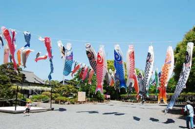 相模原泳げ鯉のぼり相模川ひとり旅が好きな女のブログ