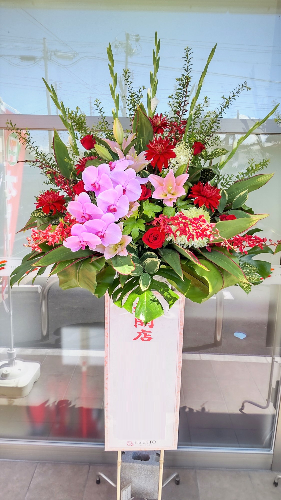 リニューアルオープンに大輪胡蝶蘭