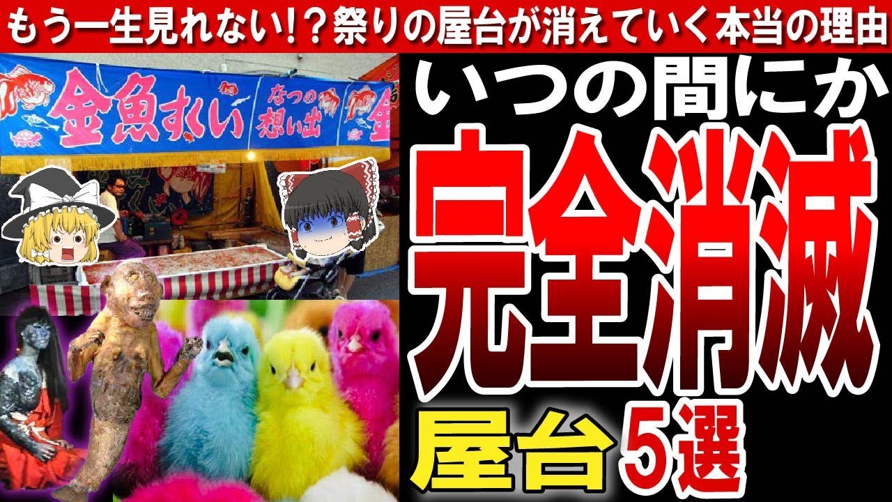 夏祭りのひよこすくいの写真・画像素材-Snapmart スナップマート