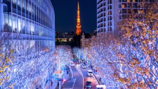 東京・関東のおすすめイルミネーション2024-2025楽天トラベル