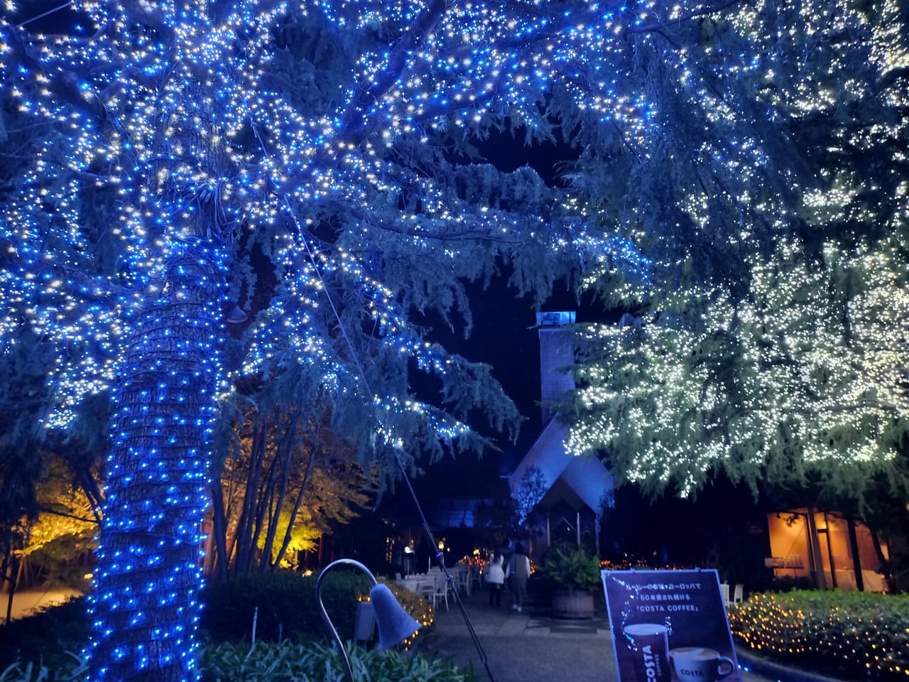 2025年 なばなの里 - 出発前に知っておくべきことすべて - トリップアドバイザ