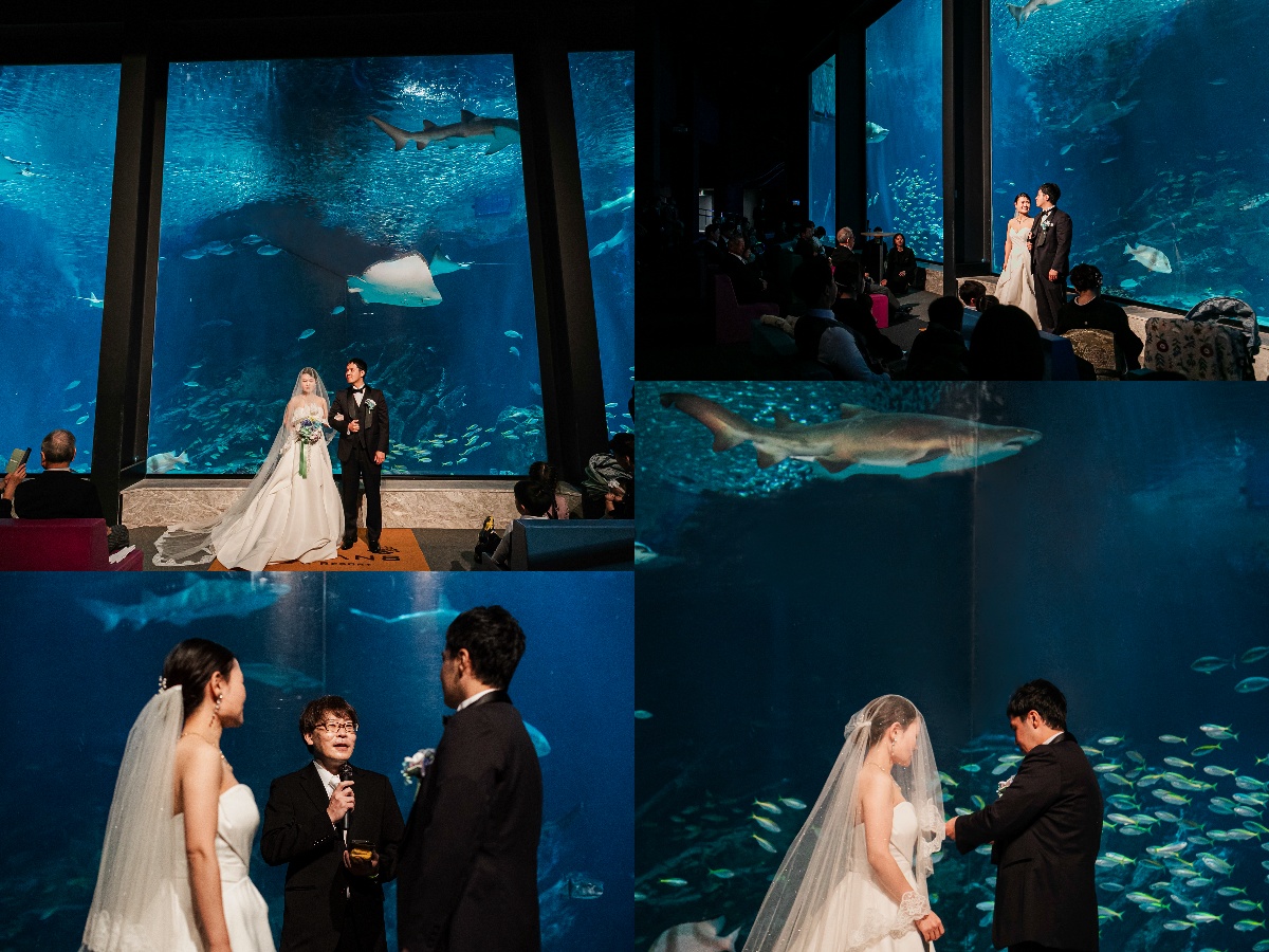 お得情報 フォトウェディング無料キャンペーン！！マリンワールドでフォトウェディング！！ - 福岡での結婚式をお得に福岡ブライダル情報