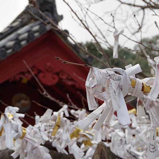広島 安産祈願 安産祈願の基本知識と広島でおすすめの神社・お寺8選♡ - DRESSY 公式 ウェディングドレス・ファッション・エンタメニュース