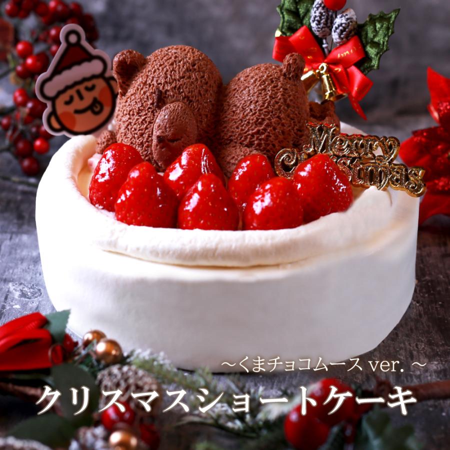 サンタ santa ケーキ クリスマスケーキ 予約 チョコ プレート クリスマス デコレーション キャラクター 子供 チョコプレート ホールケーキ 夜の クリスマス : フードセレクト FBクリエイト - 通販 - Yahoo!ショッピング