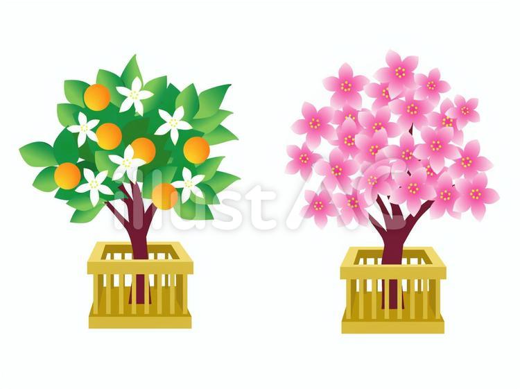 雛人形 桜橘 ひな道具 雛道具 雛人形飾り ひな祭り ひな人形 雛道具 ひな道具 ちりめん桜橘 一対雛人形 単品 ひな飾り ひな祭り 桜橘木製丸台 手作り品 ひな人形・雛飾り OKBABY 通販 17210839Creema クリーマ