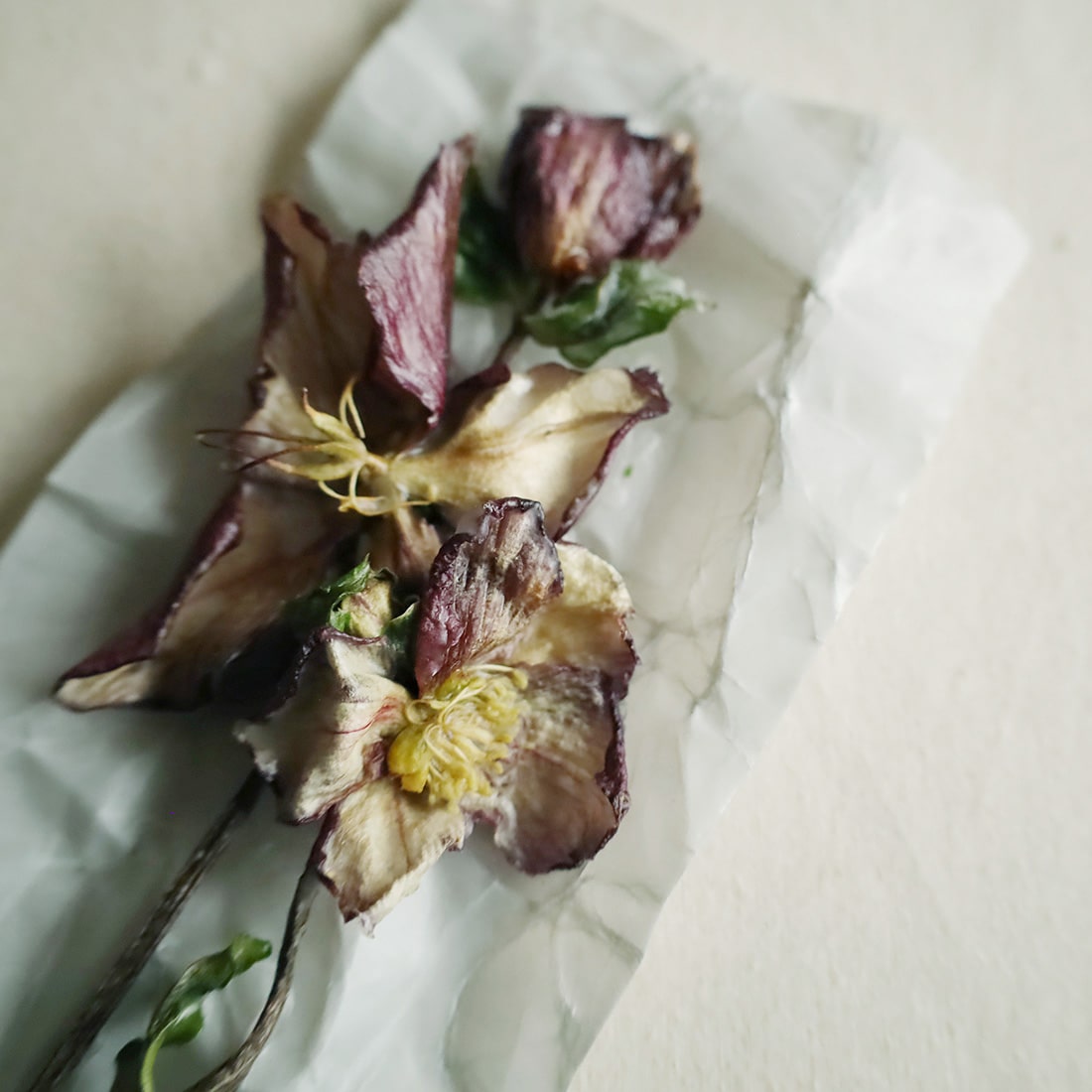 クリスマスローズ 小花のスワッグ ドライフラワー 誕生日プレゼント 引っ越し祝い 記念日 母の日 ギフトプチメリア お花ギフト