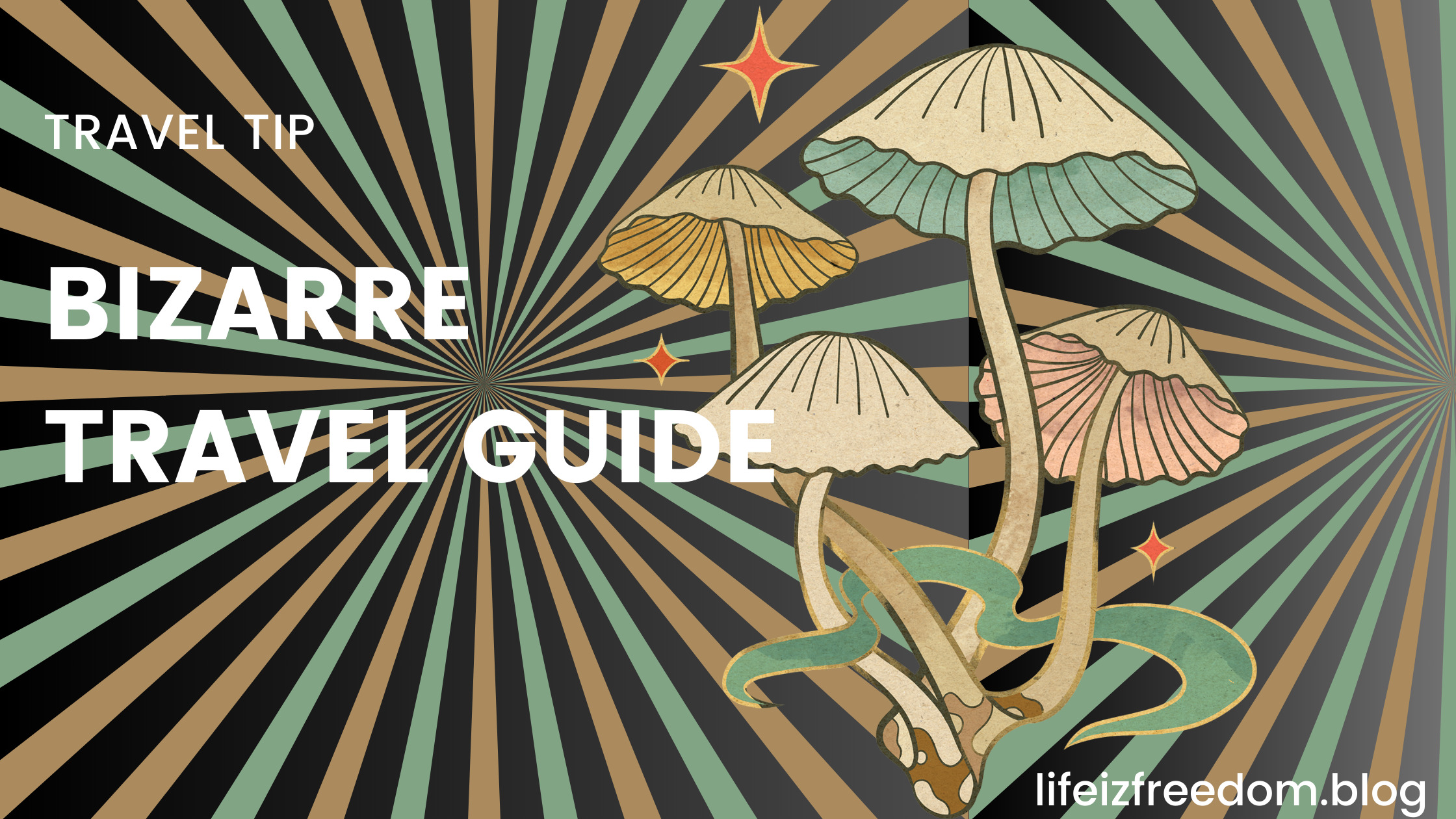 ザンジバル：ケンドワ満月パーティー往復送迎 in Tanzania