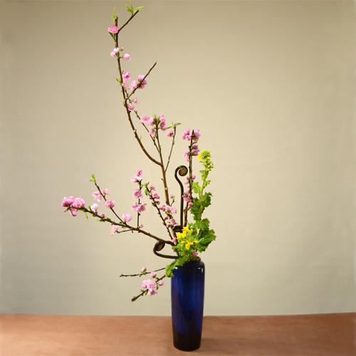 生花 ひな祭り・初節句の桃色お祝いセット☆簡易ラッピング付き☆ 届日限定:2 18-3 2 - 花材通販はなどんやアソシエ