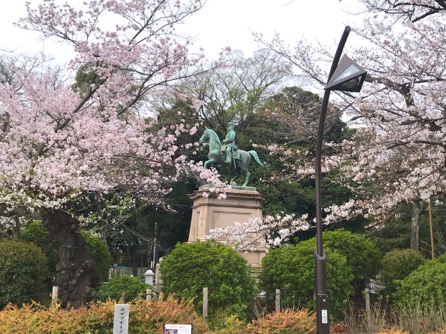 激戦の上野公園での花見2025！例年の場所取り代行業社情報！フククル