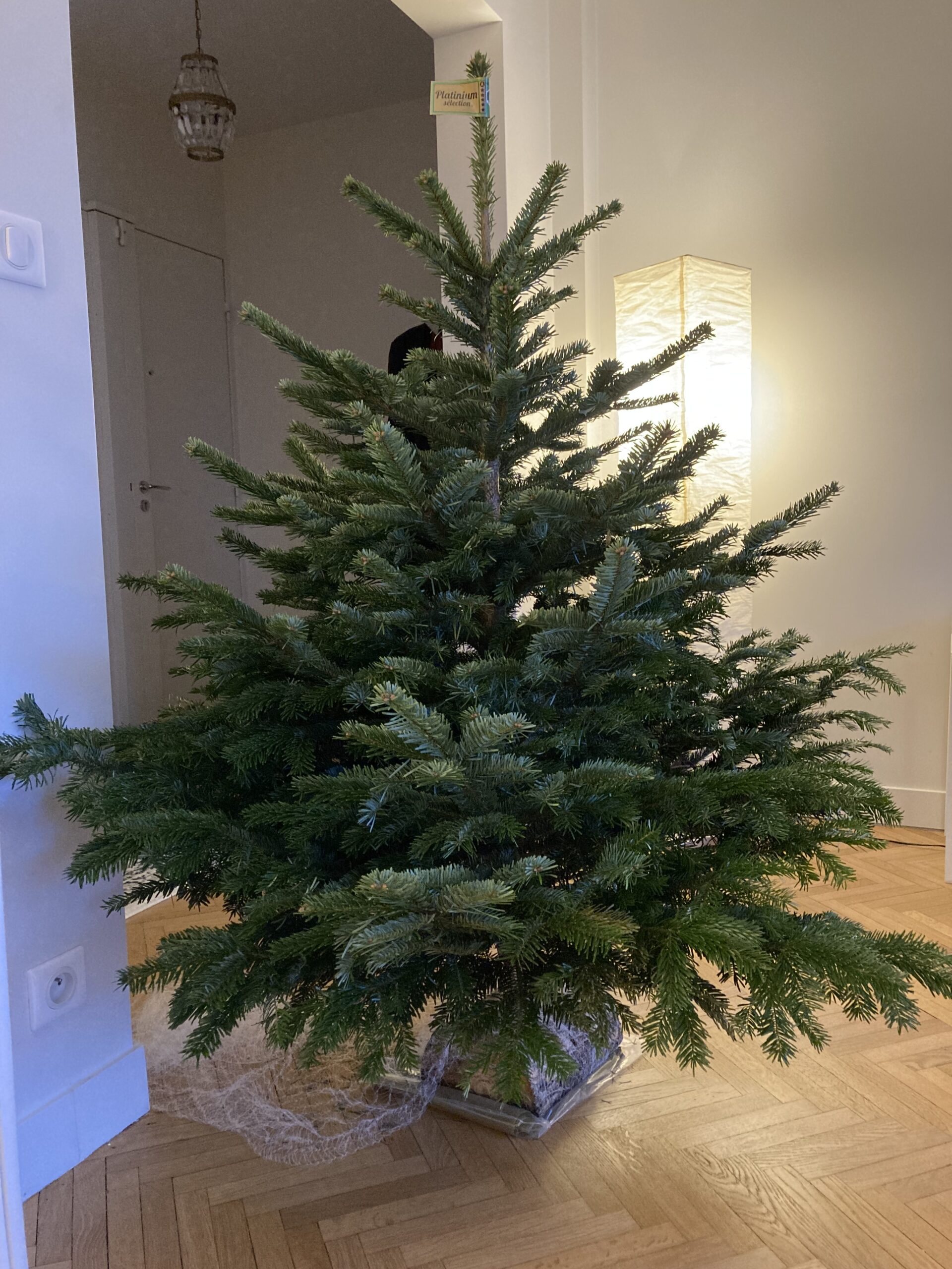 ドイツのクリスマスオーナメントTONxTON BLOG -とんとんのスタッフブログ