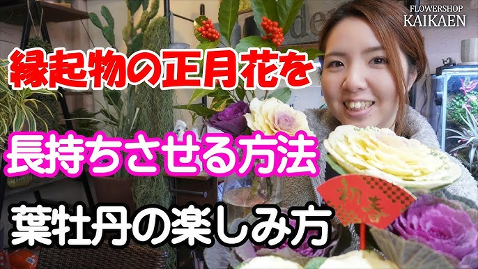 お正月に飾りたい花はコレ！ 新年を彩る人気の花・葉牡丹のお話プリザーブドフラワー製作ブログ