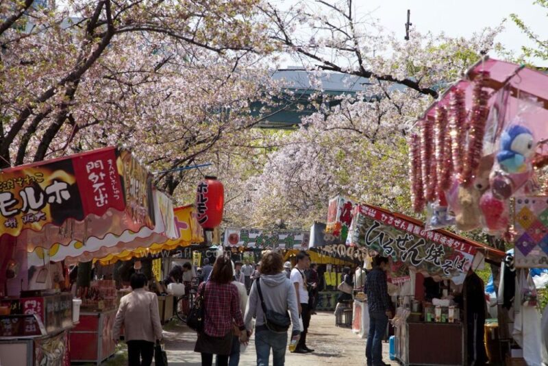 大阪の桜 2025 花見スポット、夜桜ライトアップ、見頃情報も 楽天トラベル