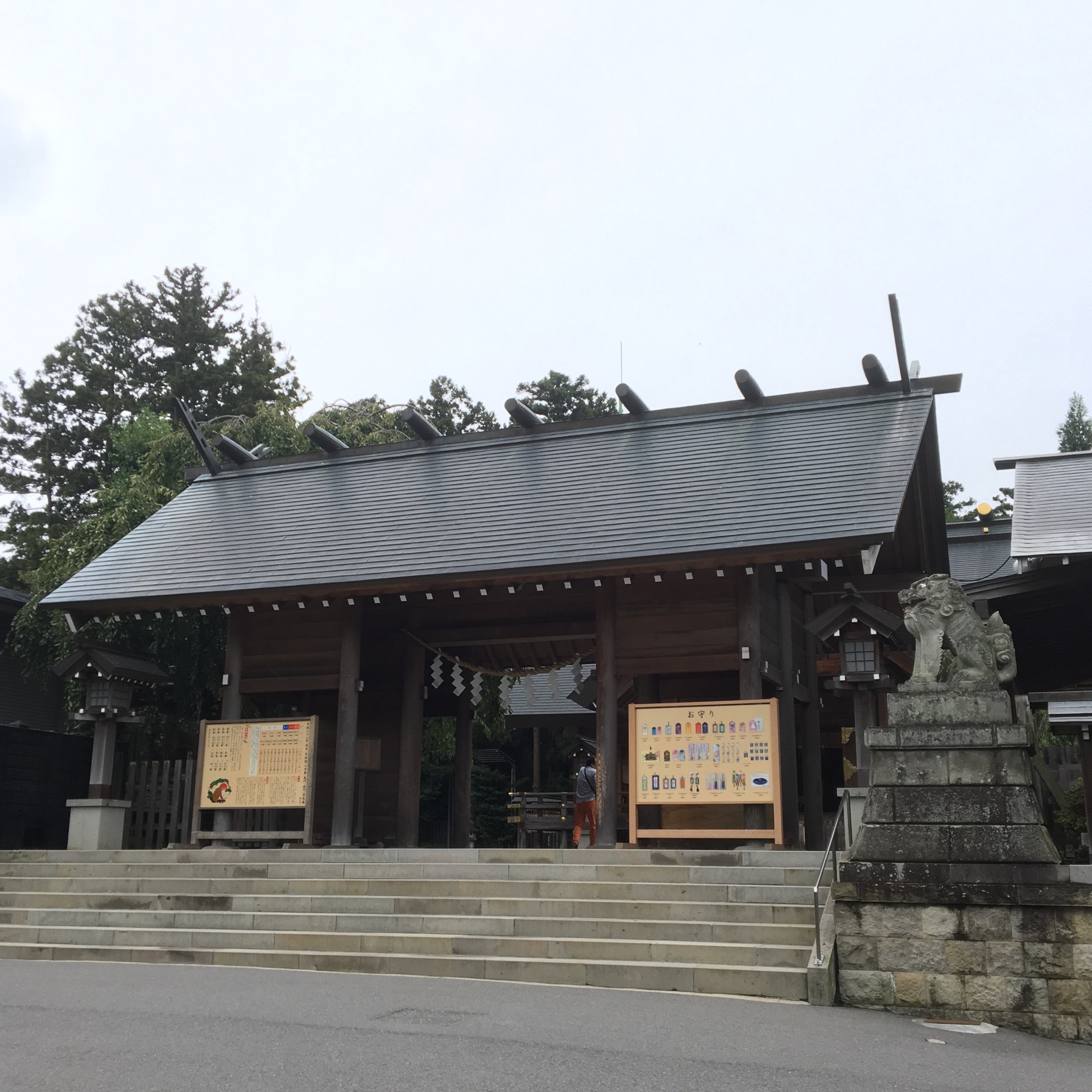 和歌山城桜まつり 屋台の時間や開花状況、お花見エリア3選を紹介