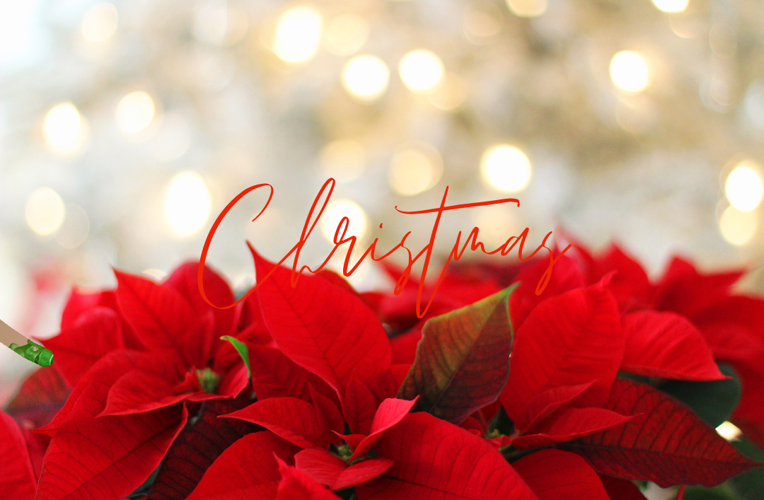 赤・緑・金・白のクリスマスカラーに込められた意味とは？ - ウェザーニュース