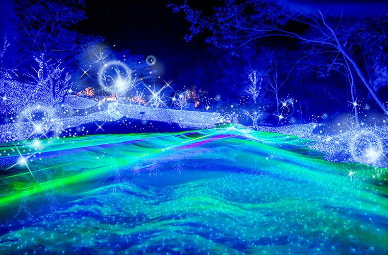 兵庫県で人気のクリスマスイルミネーション7選イルミネーションガイド2024-2025 - ウォーカープラス