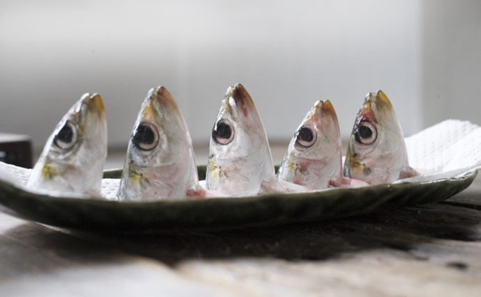 開運には節分の豆まきと恵方巻き？いえいえ実は「豆まき＋イワシ」の組み合わせもあるのですumito.®