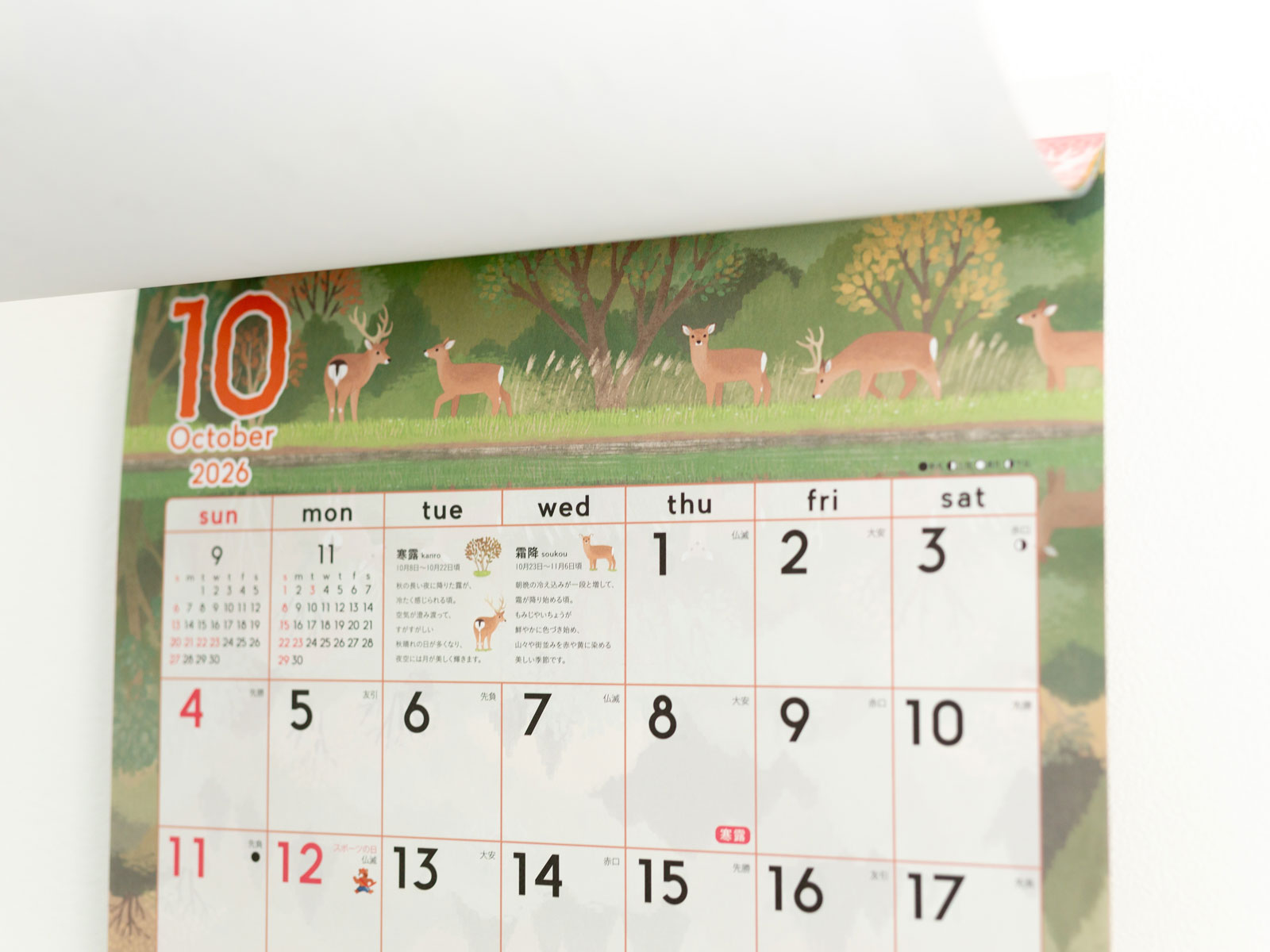 日本の“暦”と暮らすカレンダー2025年 月と暦 日めくり □ 暦と寄り添う暮らし、はじめてみませんか？2014年の販売開始以来、たくさんのお客様に愛され続けるロングセラーの人気商品「月と暦 日めくり」。 毎日の月の形を大きく掲載した日めくりカレンダーで、月の