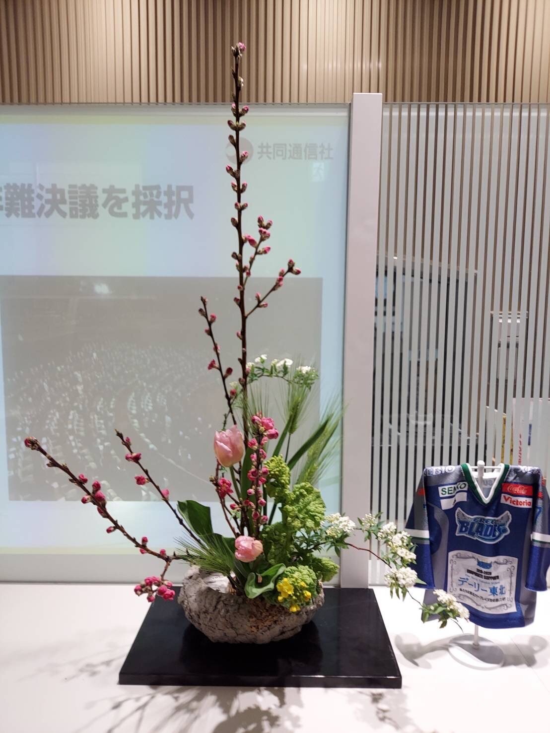 Kimika ikebana 🍀🍀 on Instagram: “瓶花 桃 菜の花 ルスカス 3月3日は桃の節句 上巳の節句雛祭り🎎に因んで桃 の瓶花を 生けました。 与謝蕪村 『雛祭る 都はづれや 桃の花』 こんな遠い田舎にもお雛様が飾って いるのだな～生け花 華道 古典 伝統 文化花が好き