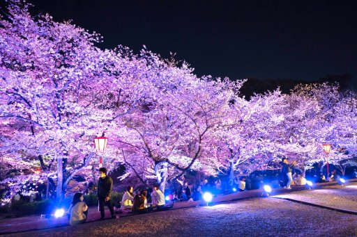めんたいパークとこなめ 公式今回は、大池公園の桜まつりへ行ってきたぞ🌸 3 21〜4 14の期間 東海グルメフェスや夜桜ライトアップを開催中‼️たくさんの屋台やキッチンカーが出ていて何を食べようか迷ってしまったぞ🤔💭 わしは写真映えばっちりの 米粉を使った