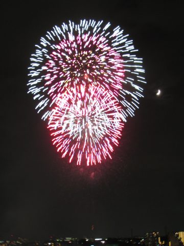 会場図世田谷区たまがわ花火大会