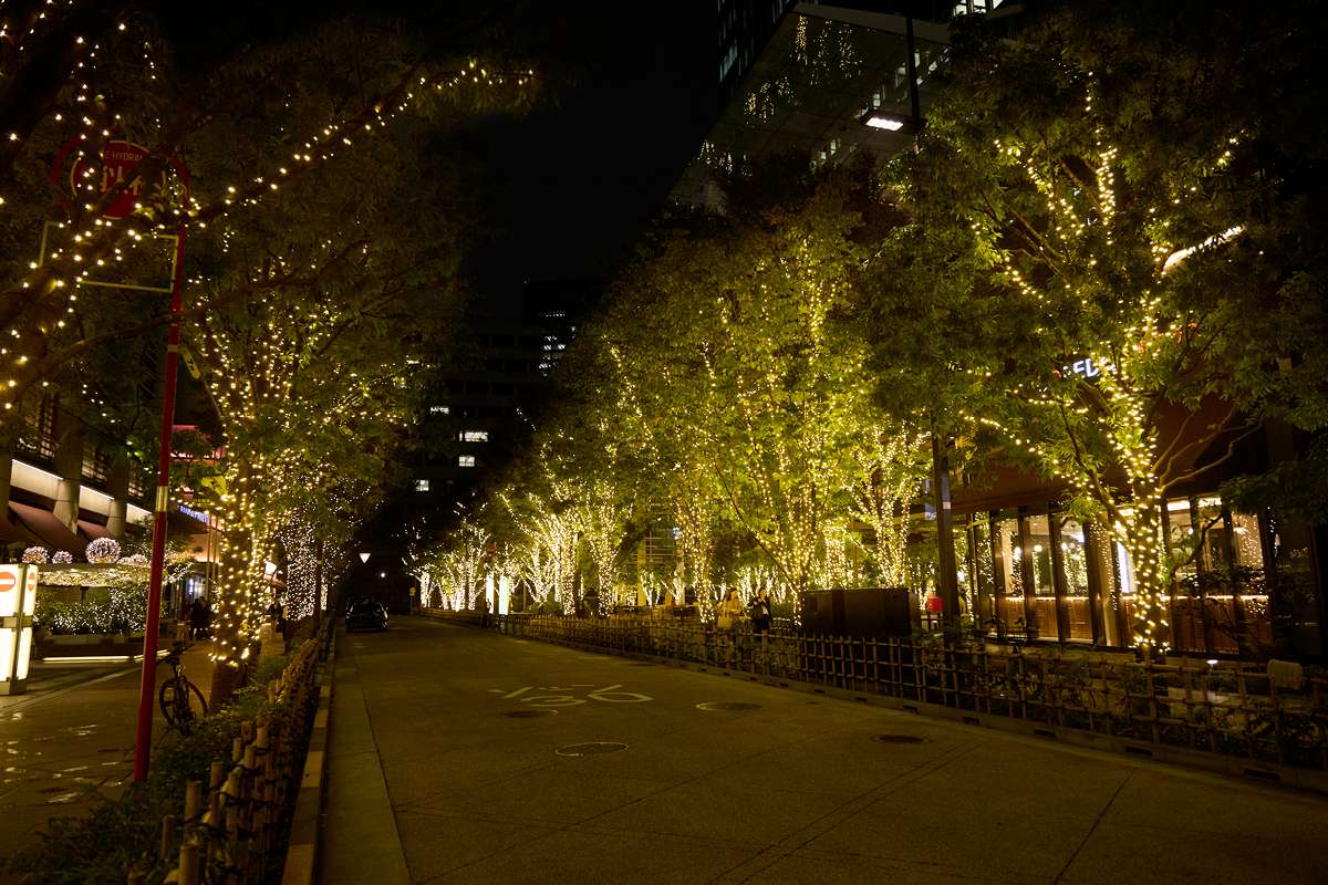 世界最大1,300万球のイルミネーション「光の王国」で過ごすクリスマス日本最大級! 高さ３０ｍのクリスマスツリー登場史上最大のクリスマスマーケット＆スペシャルイベントハウステンボス株式会社のプレスリリース